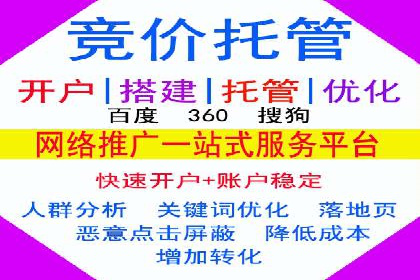 SEM主管实战：案例分析与优化策略